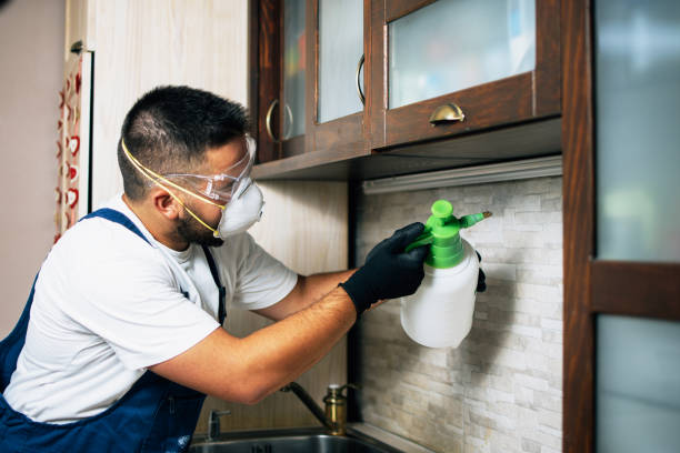 Best Affordable Pest Control Services  in Owens Cross Roads, AL