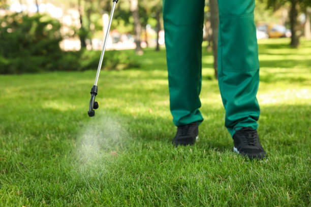 Best Emergency Pest Control  in Owens Cross Roads, AL