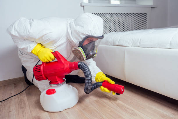 Best Pest Inspection Near Me  in Owens Cross Roads, AL