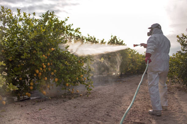 Best Pest Control Near Me  in Owens Cross Roads, AL