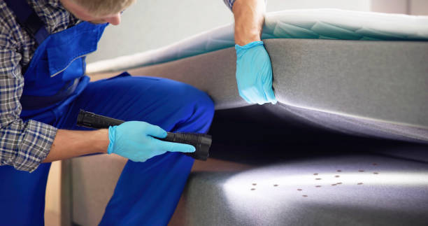 Best Bed Bug Extermination  in Owens Cross Roads, AL