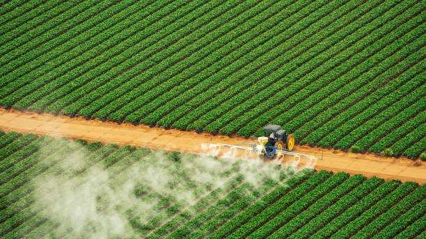 Best Pest Prevention Services  in Owens Cross Roads, AL