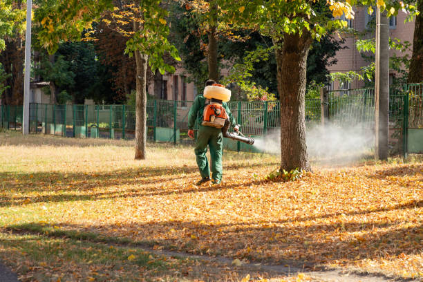 Best Best Pest Control Companies  in Owens Cross Roads, AL